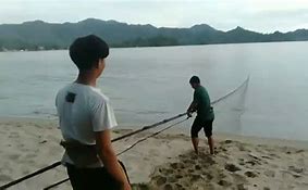 Limbah Organik Yang Banyak Ditemukan Di Daerah Pesisir Pantai Adalah