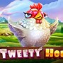 The Tweety House Slot Hari Ini Live Draw Miami Lottery Results